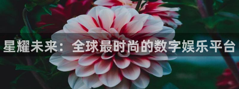 必发集团网站app
