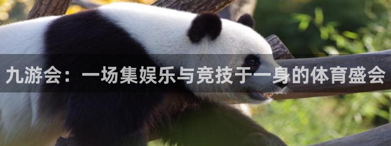 必发集团官网平台