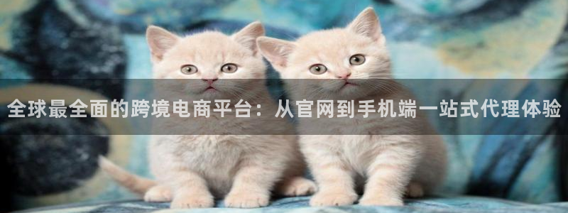 6690必发集团下载