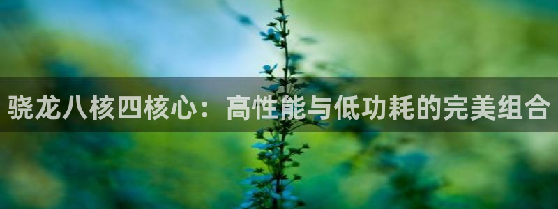 7790必发集团app