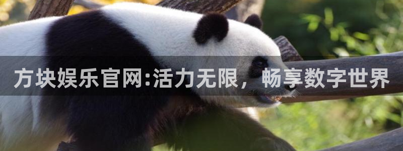 7790必发集团(中国)