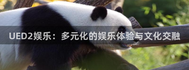 6690必发集团官网