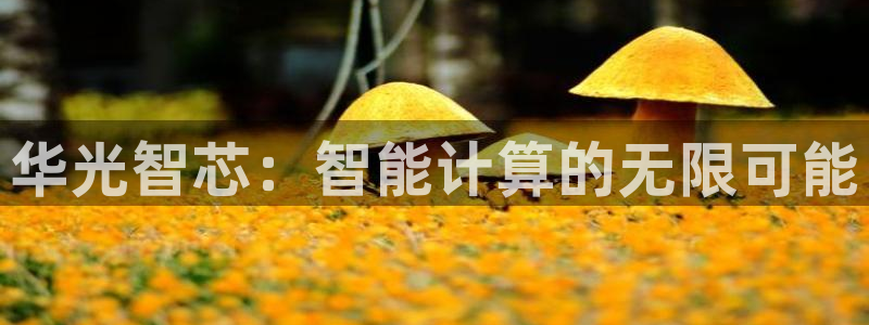 7790必发集团官网版