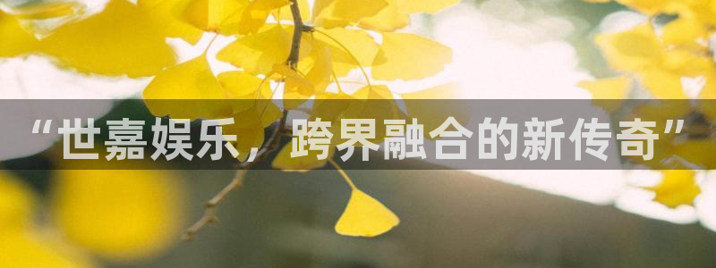 7790必发集团app官网最新版本