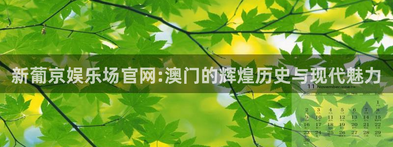 7790必发集团app下载安装：新葡京娱乐场官网:澳门的辉煌历史与现代魅力