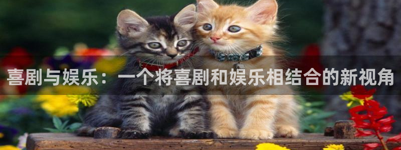7790必发集团app下载安装：喜剧与娱乐：一个将喜剧和娱乐相结合的新视角