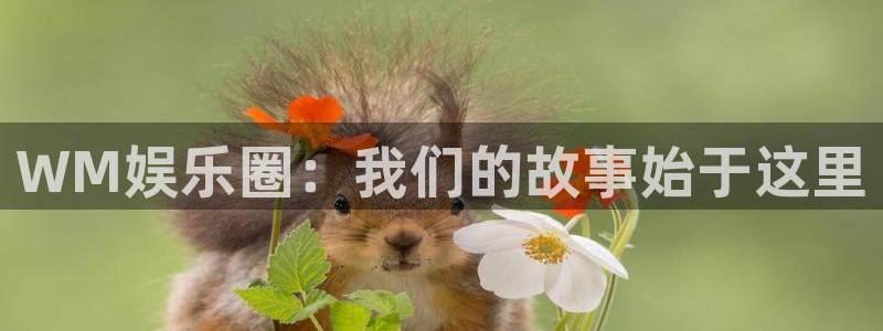 7790必发集团app官网最新版本：WM娱乐圈：我们的故事始于这里