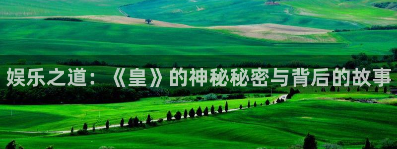 必发集团网站：娱乐之道：《皇》的神秘秘密与背后的故事