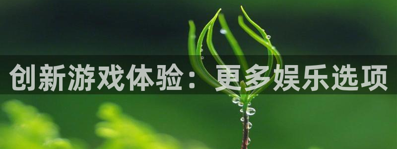 必发集团网址