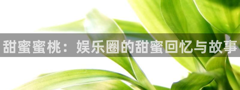 必发集团网址