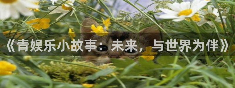 7790cnm必发集团官网：《青娱乐小故事：未来，与世界为伴》
